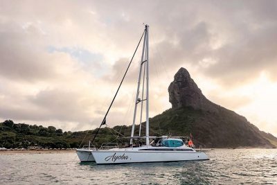 catamaran sail occasion SMG 50 -2011