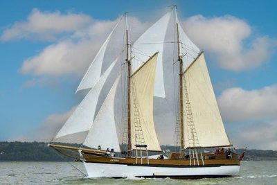 sail occasion Brauer Goelette -1945