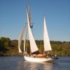 sail occasion GILL & Fils Rochester UK Yacht classic -1908