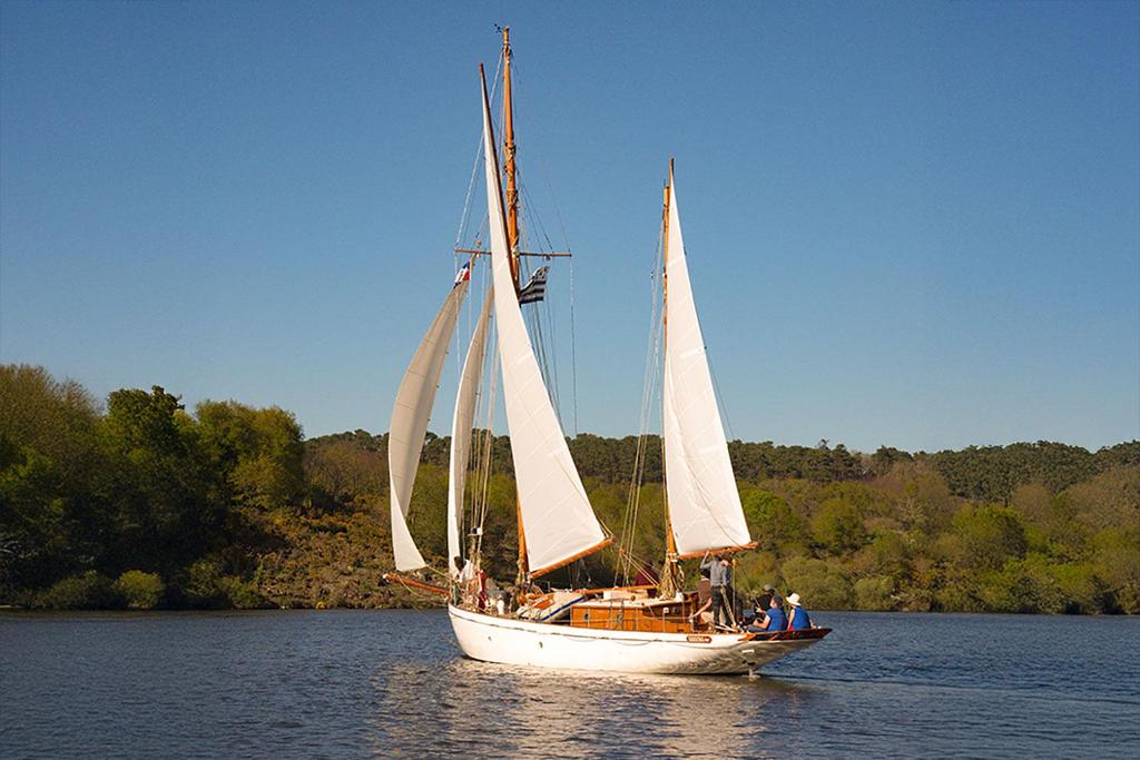sail occasion GILL & Fils Rochester UK Yacht classic -1908