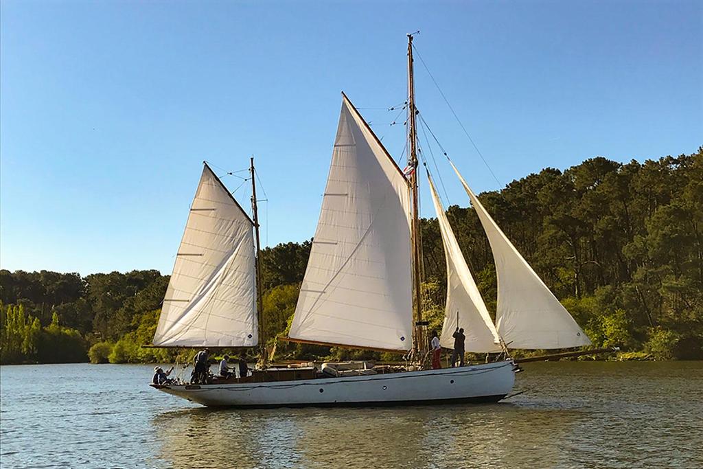 GILL & Fils Rochester UK Yacht classic <br>1908 – Image 2