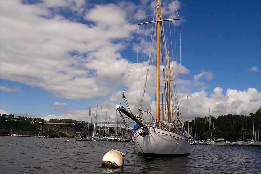 GILL & Fils Rochester UK Yacht classic <br>1908 – Image 3
