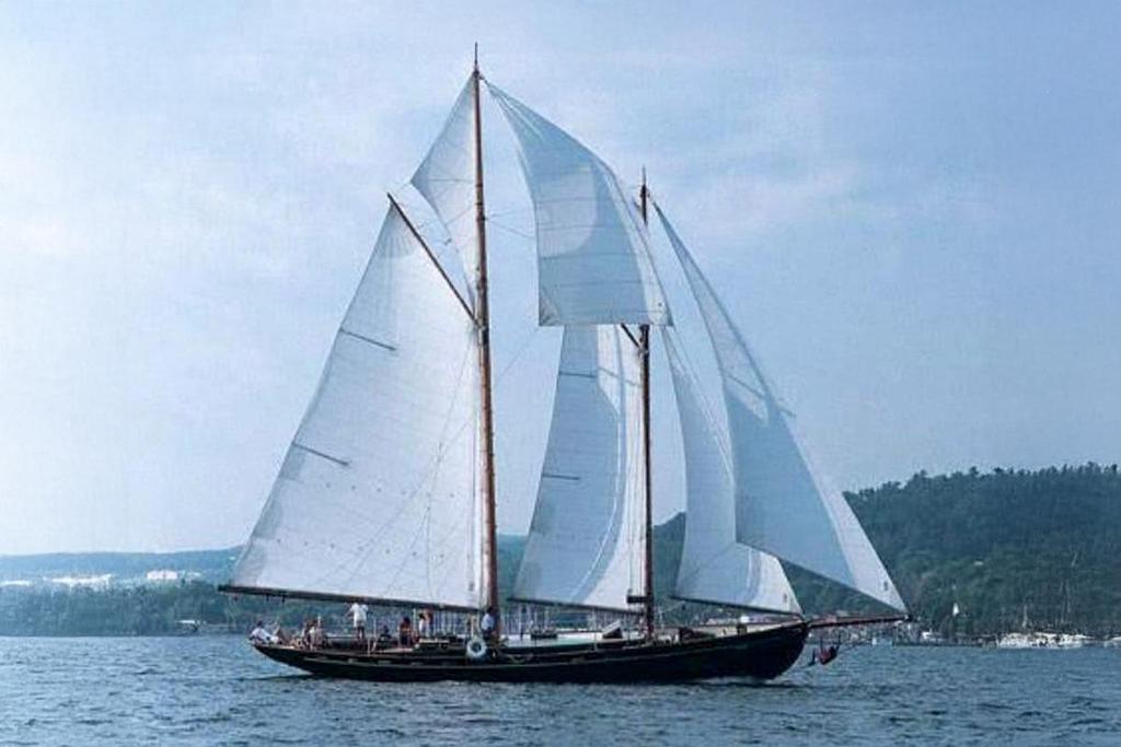 sail occasion Goelette Aurique -1979