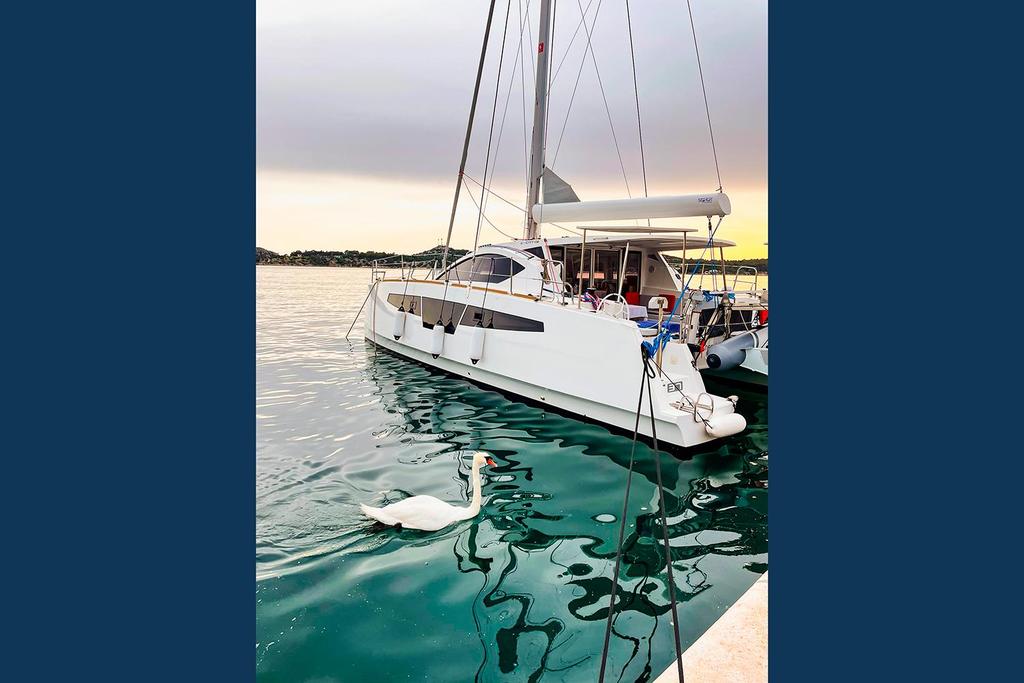 Comar Yachts C-CAT 37 <br>2021 - Image 3