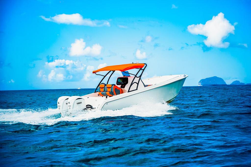 Fusion 31 Pro <br>2022 - Image 2