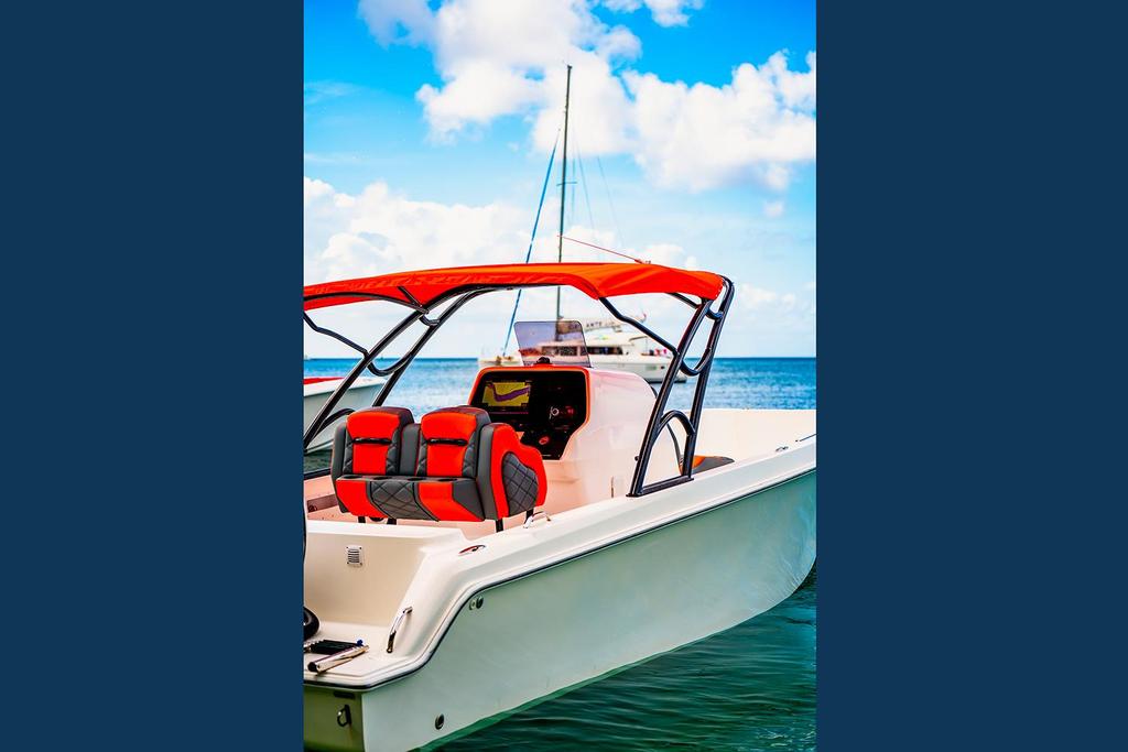 Fusion 31 Pro <br>2022 - Image 4