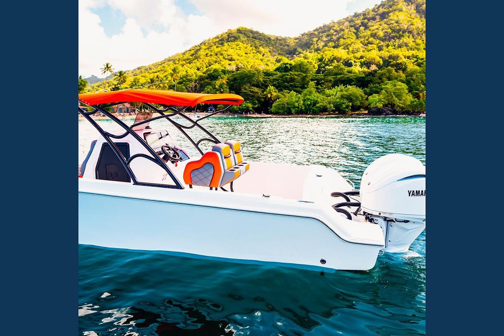 Fusion 31 Pro <br>2022 - Image 8