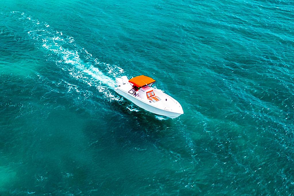 Fusion 31 Pro <br>2022 - Image 9