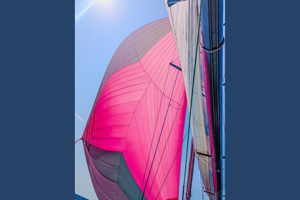 Pogo structure Pogo 40 S <br>2005 – Image 10